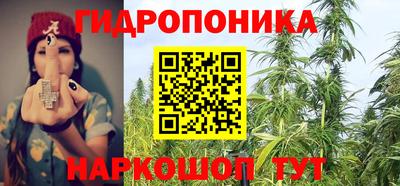 шишки Краснокаменск