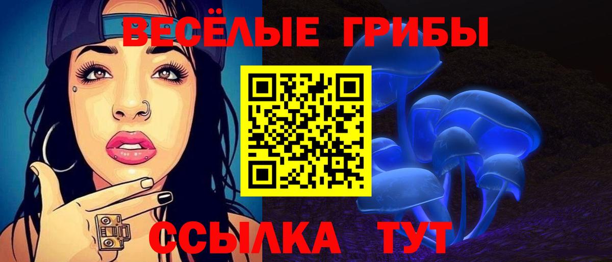 Чита  Псилоцибиновые грибы мицелий  Вход с VPN 