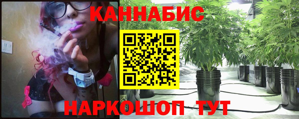 Каннабис план Чита